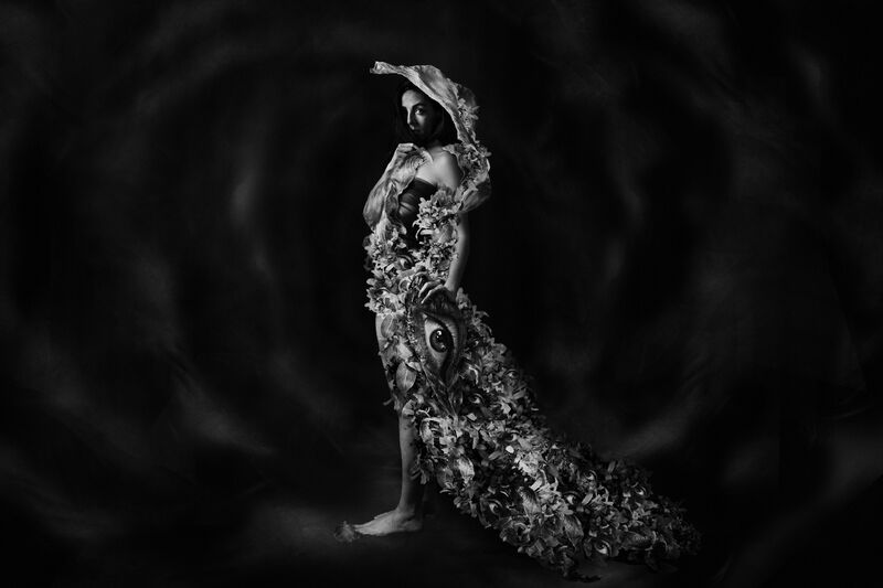 Fall First Movement Enjoy the Silence - from Black Sonata for Vivaldi - a Photographic Art by Cristiana Bezerra de Menezes Signorelli